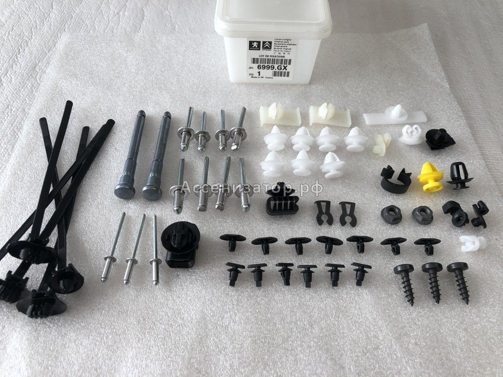 Комплект креплений двери PEUGEOT 307 6999GX